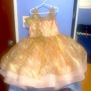 Itty Bitty toes/ Rose gold party dress/ size 8
